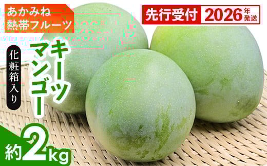 
            【化粧箱入】【先行受付・2026年発送】あかみね熱帯フルーツのキーツマンゴー約2kg - 先行予約 沖縄県産 産地直送 南国フルーツ 旬の味覚 季節の果物 希少種 化粧箱 ギフト 沖縄県 八重瀬町
          