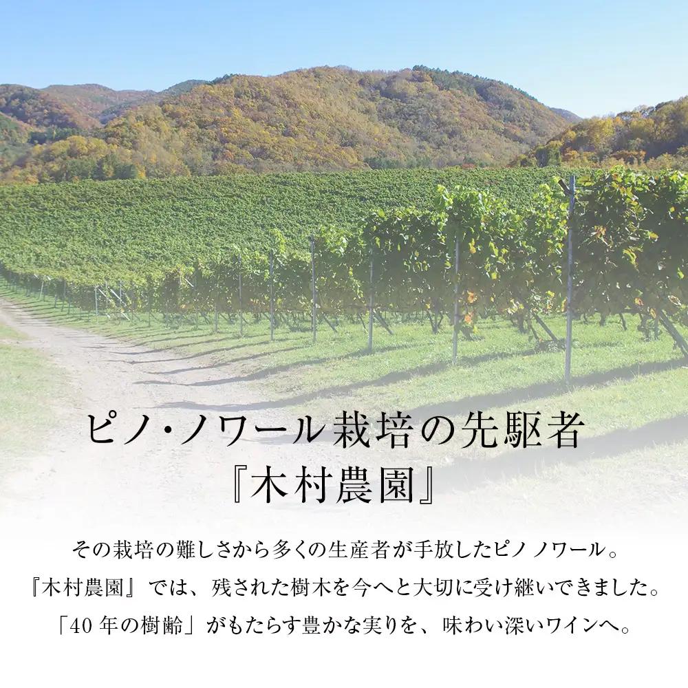 北ワイン ピノノワール 2022 プライベートリザーブ 1本