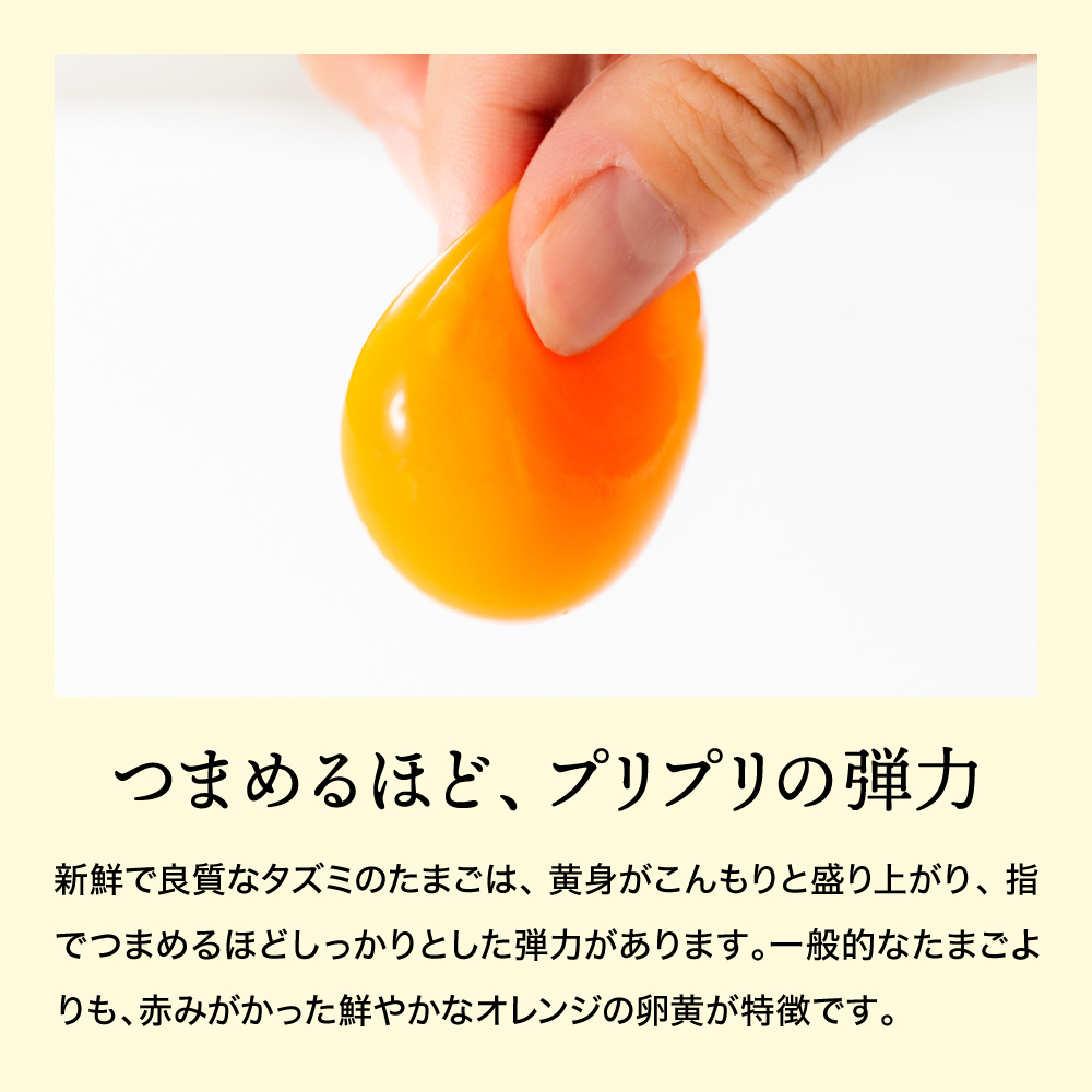 【TVで紹介されました】【定期便】タズミの卵Ｍサイズ（30個×3か月）022AB01N.