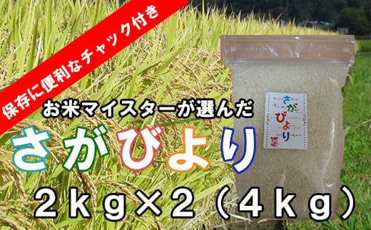 A-148【１等米限定 令和５年産】鹿島市産厳選さがびより 白米 ４kg（２kg×２袋）