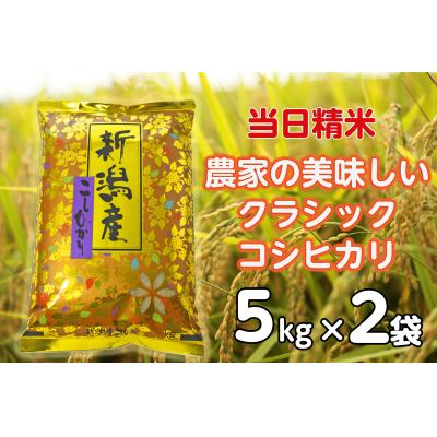 ふるさと納税 阿賀野市 【令和7年産】 当日精米! 農家直送 クラシックコシヒカリ 10kg(5kg×2袋) 精米 白米