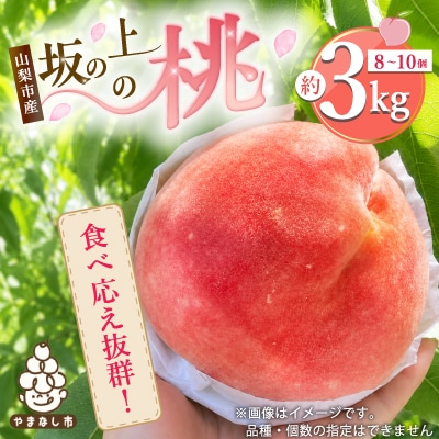 2027年発送【旬の桃 約3kg 8～10玉】坂の上の桃硬い甘い食べ応え抜群農家直送!山梨県山梨市産【配送不可地域：離島】