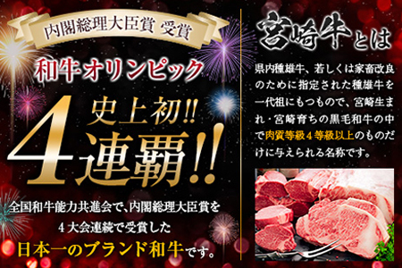 【最短2週間以内で発送】生産者応援 数量限定 宮崎牛 ロース ステーキ 2枚(計500g) 牛肉 ビーフ 黒毛和牛 ミヤチク 国産 ブランド牛 食品 おかず ディナー 人気 おすすめ 鉄板焼き 高級 