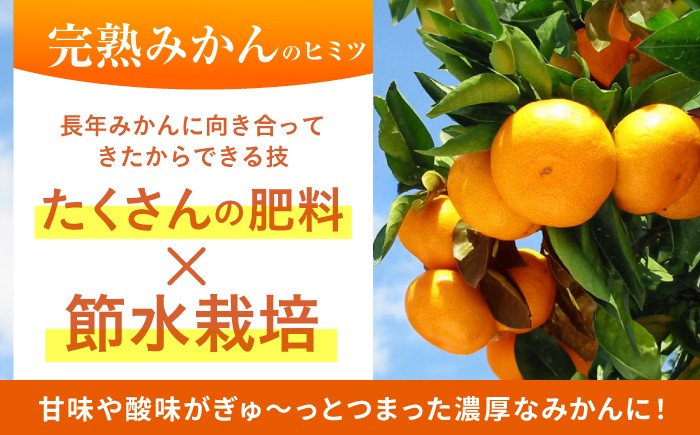 タッチの甘熟 早生みかん 太陽のしずく 5kg【夢の甘熟みかん タッチ】 フルーツ みかん 果物 温州みかん 年内発送
