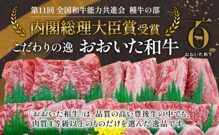 おおいた和牛 赤身 焼肉用 300g 牛肉 和牛 豊後牛 国産牛 赤身肉 焼き肉 大分県産 九州産 津久見市 国産【tsu002302】