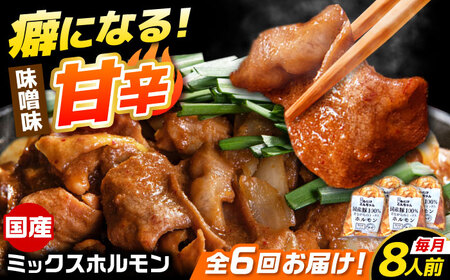 【6回定期便】「元祖みたけとんちゃん」 昔ながらのミックスホルモン 4袋（8人前） / モツ もつ レバー ホルモン / 御嵩町 / 藤よし[AVAA089]