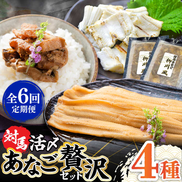 【ふるさと納税】【全6回定期便】対馬産 あなご 贅沢 セット 《対馬市》【対馬地域商社】九州 長崎 煮あなご 佃煮 アナゴ[WAC022] 130000 130000円