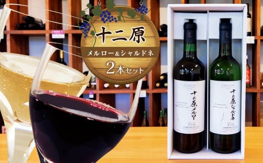【ふるさと納税】十二原（メルロー）720ml、十二原（シャルドネ）750ml　2本セット｜ワイン 信州 赤ワイン 白ワイン ぶどう 長野県 松本市 わいん 酒 おさけ さけ