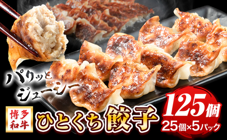 餃子 一口餃子 ひとくち 博多和牛 冷凍 25個 × 5パック 125個 清柳食産《30日以内に出荷予定(土日祝除く)》九州産 牛 肉  冷凍