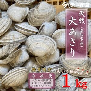 訳あり 南知多町産 活大あさり 約1kg 大なら4個前後 小なら10個前後 不揃い※個数は選べません 配送不可地域：離島・北海道・沖縄県・東北・中国・四国・九州 