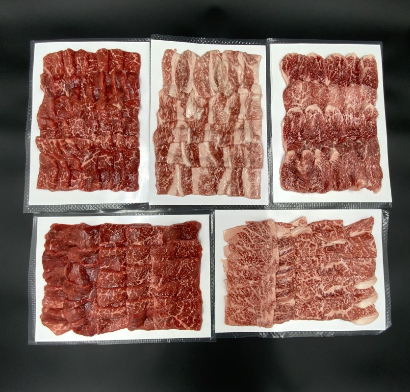 【高島屋選定品】【神戸牛 焼肉一頭食べ比べB】冷凍 神戸ビーフ 但馬牛 神戸牛 和牛 牛 牛肉 もも 肩 バラ 肩ロース ロース 食べ比べ 焼肉 BBQ バーベキュー アウトドア キャンプ 人気 国産
