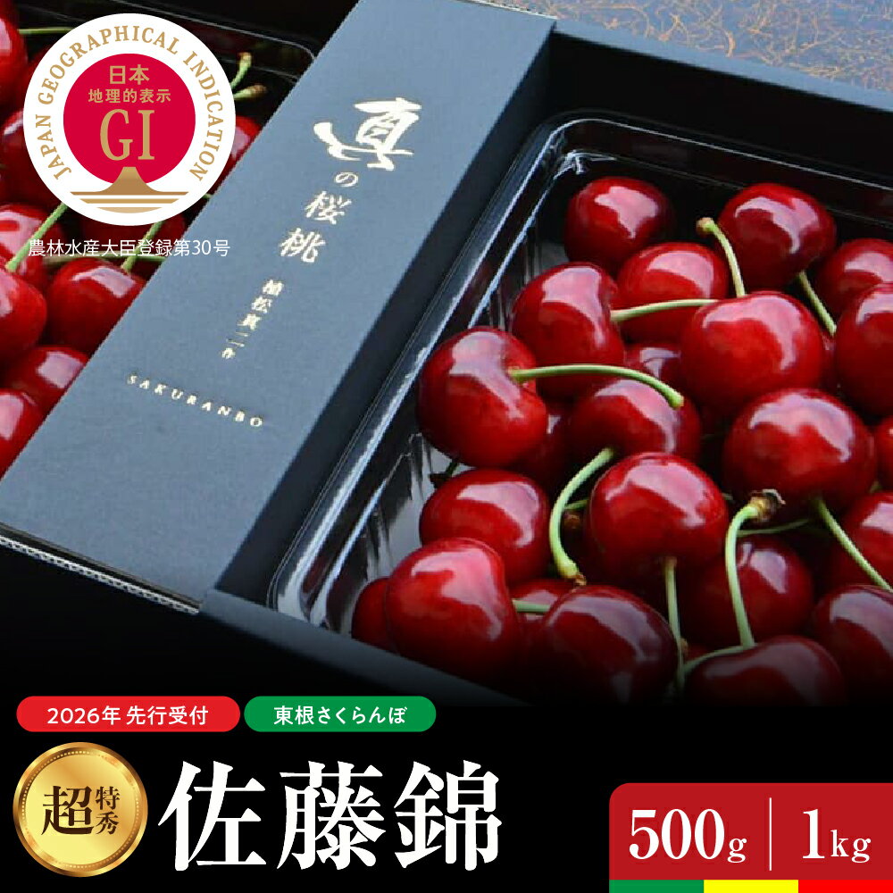 【ふるさと納税】【 2026年産 先行予約 】さくらんぼ 真の桜桃 佐藤錦 ( 選べる内容量 : 500g / 1kg ) 超特秀サクランボ フルーツ 果物 くだもの 小分け 箱入り 化粧箱 お取り寄せ グルメ ご当地 特産 産地 直送 送料無料 期間限定 大容量 冷蔵配送 山形県 東根市