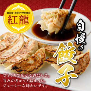 カツオ餃子10パックセット 紅龍 IB131-001 かつお餃子 カツオ餃子