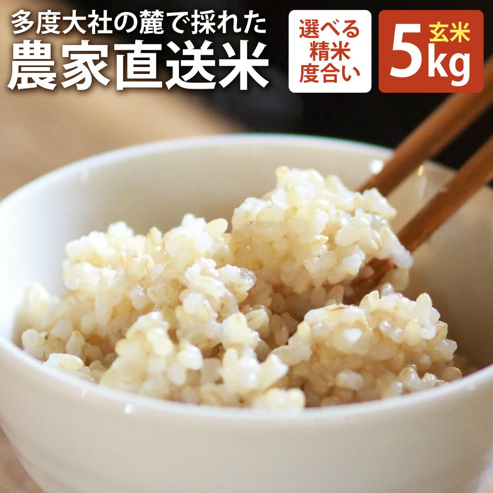 【ふるさと納税】車久米穀販売 多度大社の麓で採れた農家直送米 玄米 5kg コシヒカリ 令和7年産 お米 こめ 単一原料米 ごはん ご飯 三重県産 国産 三重県 桑名市 送料無料