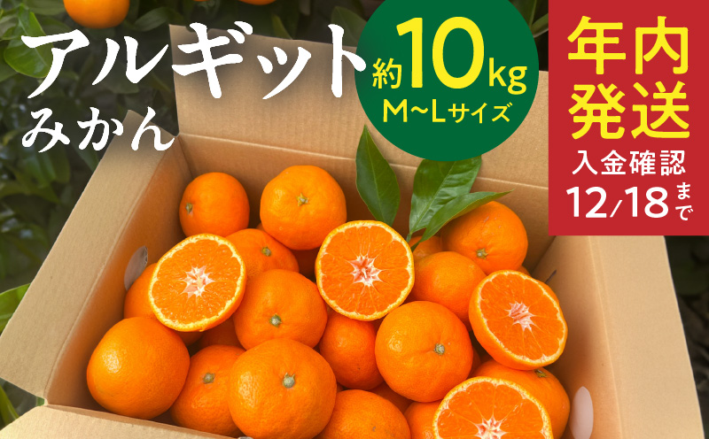 YA1005_完熟 アルギット みかん 10kg M～L サイズ 年内発送