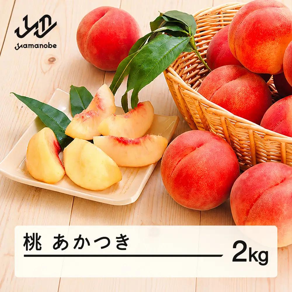 【先行予約】もも 桃 あかつき 約2kg 令和8年産 2026年産 果物 ※沖縄・離島への配送不可 mm-moatx2
