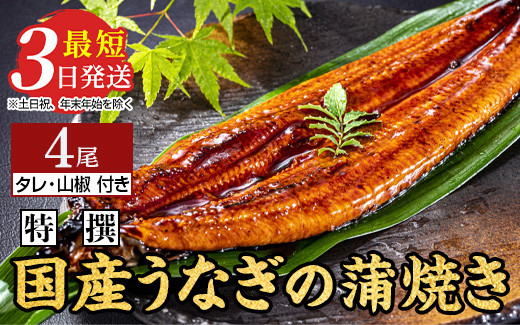 
                  特撰 国産うなぎの蒲焼き 4尾（140g～150g×4尾）【最短3日発送】国産のブランド鰻を茨城県土浦市の職人が手間を惜しまず一つ一つ丁寧に作り上げた美味しい蒲焼きをぜひご賞味ください！
                