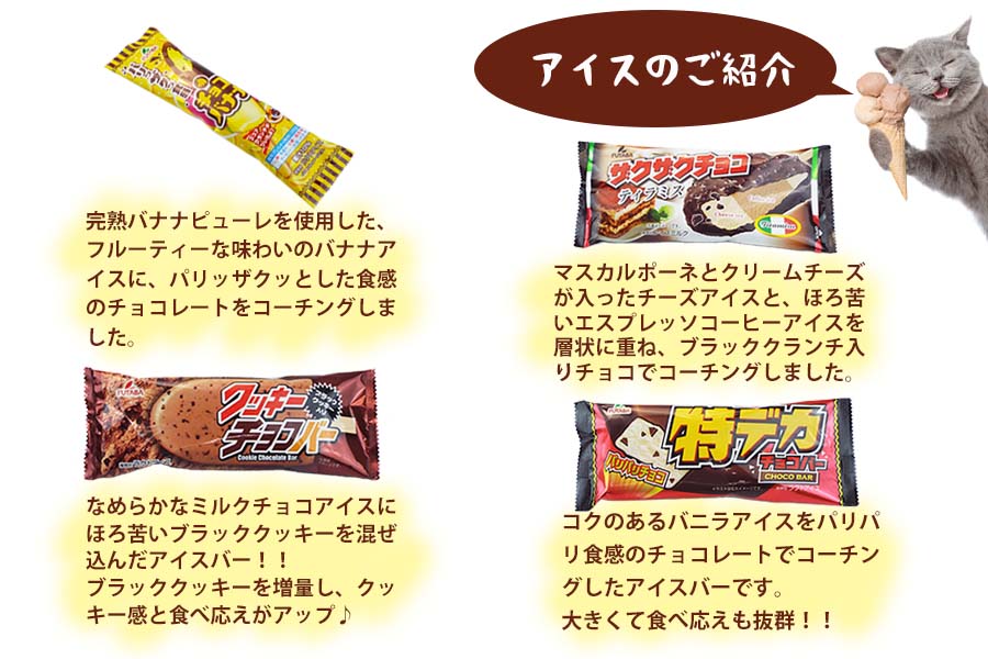 フタバ食品　アイス18個　チョコ好き必見！！チョコアイス6種セット　チョコ好き専用アイスセット