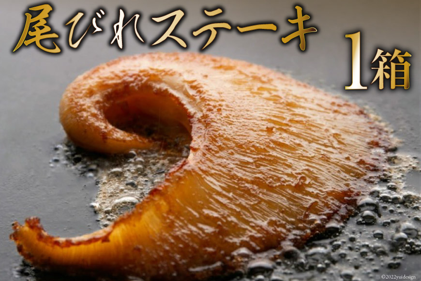 【TVで紹介】ふかひれステーキ1箱 [石渡商店 宮城県 気仙沼市 20563354] フカヒレ 鱶鰭 ふかひれ ステーキ 尾びれ ヨシキリザメ ヨシキリザメ 吉切鮫 