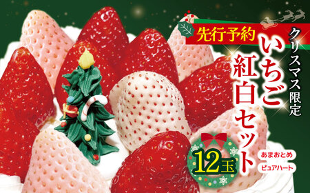 【 先行予約 】 クリスマス限定 いちご紅白セット 12玉 ｜ 果物 くだもの フルーツ 白いちご いちご 苺 イチゴ セット 食べ比べ クリスマス限定 あまおとめ ピュアハート 1㎏ 熊本県 玉名市