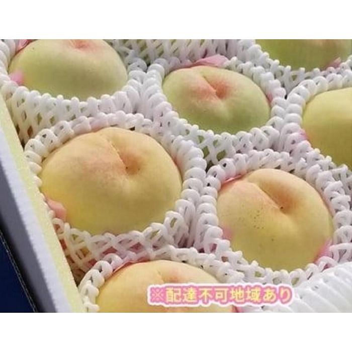 【ふるさと納税】岡山市産 旬の白桃セレクション 約2kg | フルーツ 果物 くだもの 食品 人気