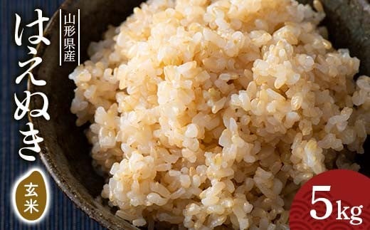 FYN6-281 令和7年度 山形県産 はえぬき 玄米 5kg お米 米 ごはん ご飯 げんまい 銘柄米 ブランド米 2025年 自宅 家庭 贈り物 プレゼント 贈答 ギフト 食品  山形県 西川町 月山
