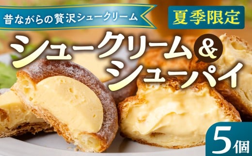 《季節限定》5個セット シュークリーム シューパイ シューアイス 選べる 4個  デザート スイーツ 洋菓子 小分け 冷凍 パティスリーマツキ 夏季限定 期間限定 アイス 飛騨 お試し [Q2995]