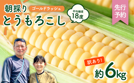 とうもろこし 訳あり ゴールドラッシュ 6kg 茨城県産 トウモロコシ