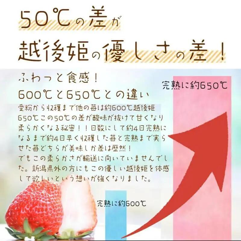 先行予約  いちご 雪国完熟越後姫桃薫シングル(約380g)ギフト箱入り 食べ比べ セット イチゴ 苺 果物 フルーツ 新潟 苺の花ことば