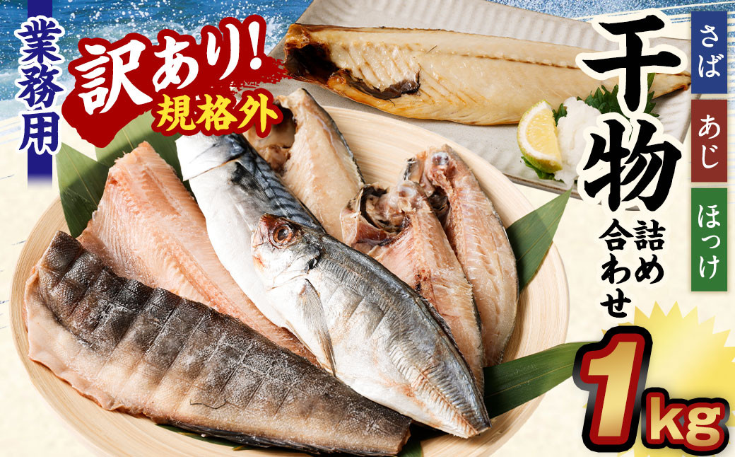 
                  【訳あり規格外】業務用 干物詰め合わせ 1kg 3種 セット さば 鯖 縞ほっけ ほっけ あじ 鯵 魚
                
