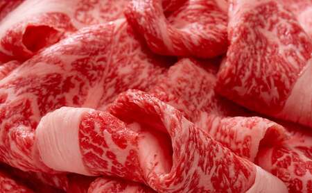 【ふるさと納税】美水牛 贅沢 切落し ( 800ｇ 200ｇ×４) 牛肉 冷凍品 ギフト 肉 お祝い 但馬牛 神戸牛 三田牛 数量限定 訳あり ふるさと納税 ふるさと 人気 おすすめ 送料無料 兵庫県