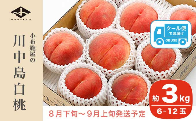 
             川中島白桃 約3kg 6～12玉 ［小布施屋］ 桃 白桃 もも モモ フルーツ 果物 令和7年産 【2025年8月下旬～9月上旬発送】［A-6］
          