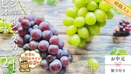 【 お中元 熨斗 付 】【 桐箱入り 】 シャインマスカットとピオーネ （各種1房ずつ）【2026年8月より発送開始】（茨城県共通返礼品 [ぶどう]：結城市産）