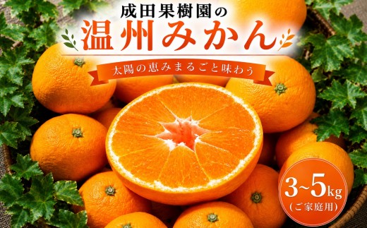 
                  成田果樹園の温州みかん 3～5kg（ご家庭用）温州みかん 家庭用 3kg 4kg 5kg 甘い 旬 産地直送 みかん 柑橘 果物 フルーツ 高知県 3キロ 4キロ 5キロ 三キロ 四キロ 五キロ 10kg以下 蜜柑 美柑 くだもの ジュース や ゼリー に 期間限定 先行予約
                