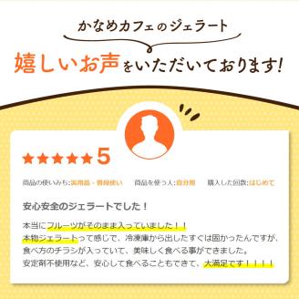 【定期便】季節の近江果実ごろごろジェラート　 近江の四季をお届けします！春夏秋冬4回分セット　D25　かなめカフェ