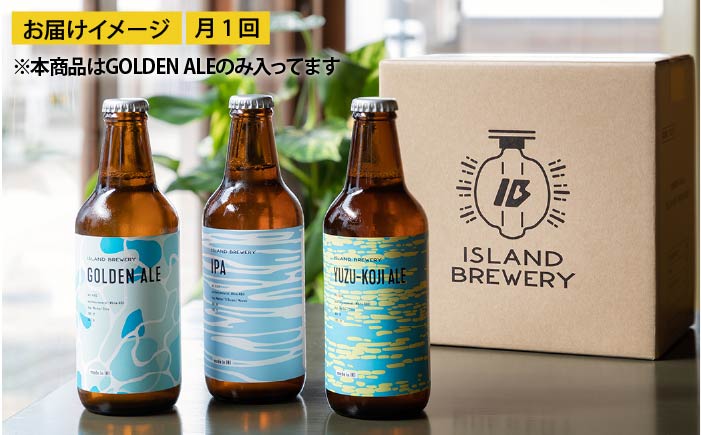 【全3回 定期便 】クラフトビール 地ビール GOLDEN ALE 6本 【ISLAND BREWERY】 《 壱岐市 》[JED009] 45000 45000円