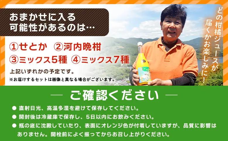 ＜青春 夢てんか物語 お楽しみセット 6本＞『1か月以内に順次出荷予定』ジュース みかんジュース 温州みかん うんしゅうみかん ミックス 柑橘 果物 みかん 蜜柑 ミカン おまかせ お任せ 詰め合わせ