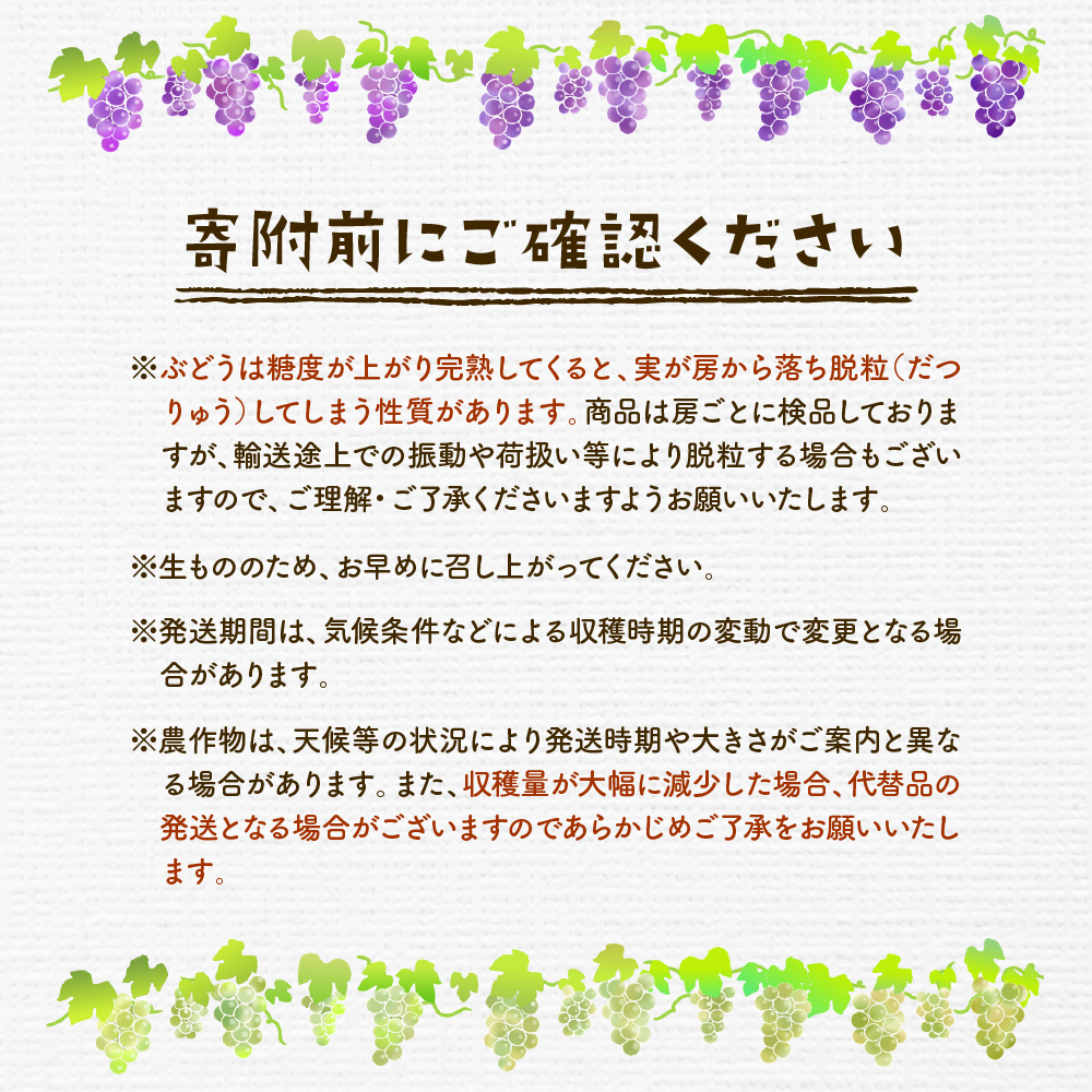 2025年ぶどう「訳ありシャインマスカット」2kg（3～5房）東根農産センター提供 山形県 東根市 hi027-182-1