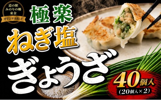 東金極楽ねぎ塩ぎょうざ 2袋セット 20個入×2 ／ 餃子 ギョウザ 中華 ネギ塩 にんにく おつまみ 手軽なおかず 夕飯 昼食 レストランの味 東金グルメ おかず おつまみ やみつき ガツン パンチ 夜食 スタミナ 東金市 千葉県