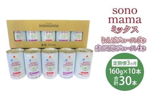 《 定期便 3ヵ月 》ミックス「sonomama」(160g×10本）りんごジュース 赤ぶどうジュース ジュース 飲料