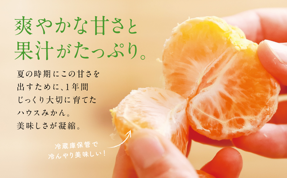 鹿児島県産 ハウスみかん 約2.4kg【 先行受付 ★7月～8月発送★】 化粧箱入り 先行予約 柑橘 みかん ミカン 蜜柑 ハウスミカン 温室 温州ミカン 温州みかん 旬 数量・期間 限定 国産 果実