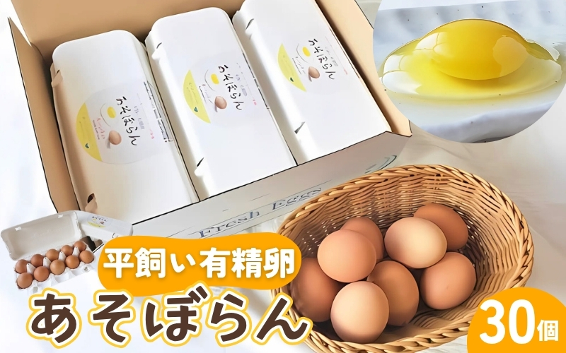 卵 平飼い有精卵 あそぼらん 30個 卵 たまご 玉子 タマゴ 卵焼き 玉子焼き 卵料理【asit0001】