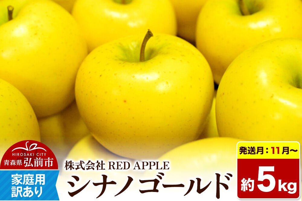 【26年11月～発送】りんご【訳あり】家庭用 シナノゴールド 約5kg 先行受付 [アップル おいしい シナノ シナノゴールド りんご 黄色 果実 果物 美味 林檎]
