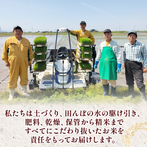 【定期便】先行予約 令和7年産 ミルキークイーン 6kg 12ヶ月 白米 玄米 新潟県 新発田市産 《2025年11月発送》 D47_002_202511
