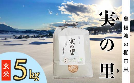 【９月中旬より順次発送】新米 こしひかり 令和6年産 『奥信濃の棚田米 実の里』 玄米 5kg (6-61A)