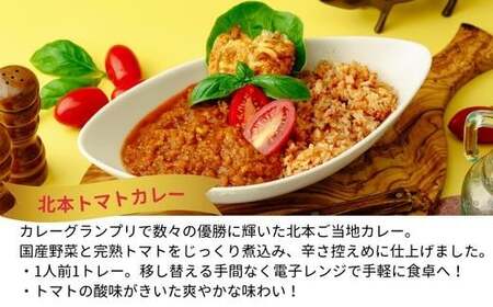 餃子 揚げ餃子 20個 北本トマトカレーセット | ぎょうざ 冷凍 北本フーズ