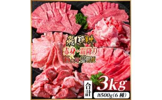 <毎月定期便>飛騨牛 赤身・霜降り定期便 計3kg カルビ・ロース(焼肉・BBQ用) すね肉全6回【4075089】