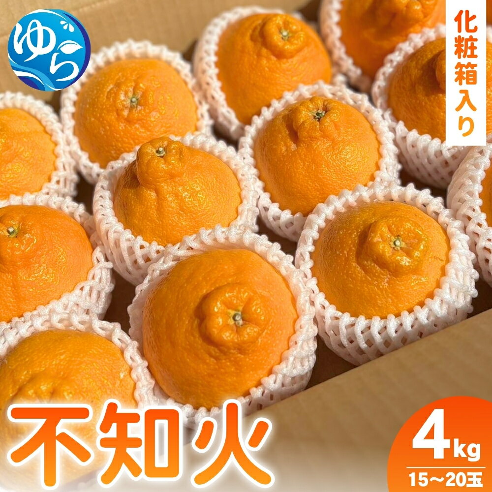 【ふるさと納税】 しらぬい 化粧箱入り 4kg （15玉～20玉入り）/ 不知火 柑橘 果物 和歌山 ※2027年2月中旬～4月中旬頃に順次発送予定 ※北海道・沖縄・離島配送不可