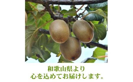 キウイ 厳選 5kg+250g（痛み補償分） / キウイフルーツ 高級 和歌山 ※2026年11月中旬～2027年4月下旬に順次発送 ※北海道・沖縄・離島への配送不可【ikd505-p-5C】