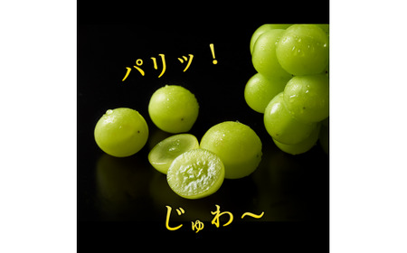 《山形県産》 新鮮 シャインマスカット 1kg（1房 - 3房）【2025年9月中旬～10月頃発送予定】　013-B-JA008
